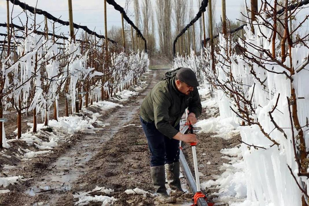 Tarımda tarihin en büyük felaketi yaşanıyor! Meyve, sebze fiyatlarında rekor artış yaşanacak 3